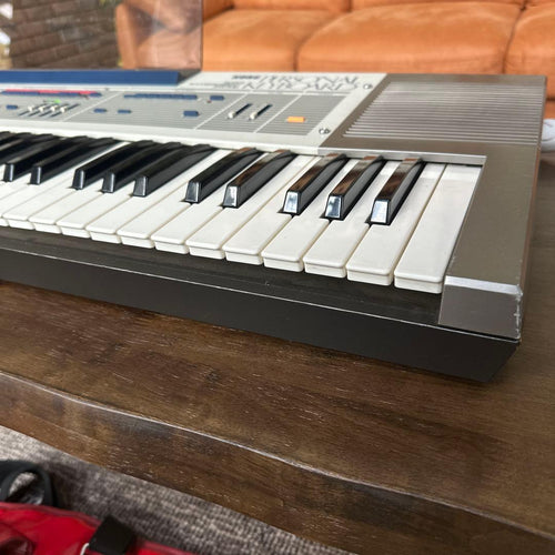 Korg Analog Synthesizers Sas-20