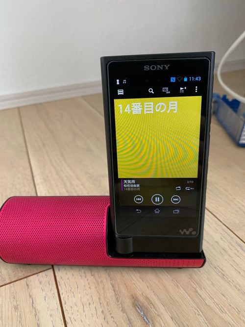 Sony Digital Audio Players Walkman Nw-Zx2