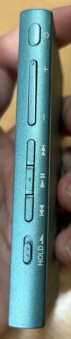 Sony Digital Audio Players Nw-A45