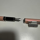 Pilot Fountain Pen 2017