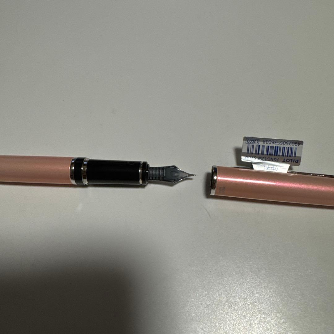 Pilot Fountain Pen 2017