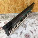 Other Yamaha Dx100 Fm