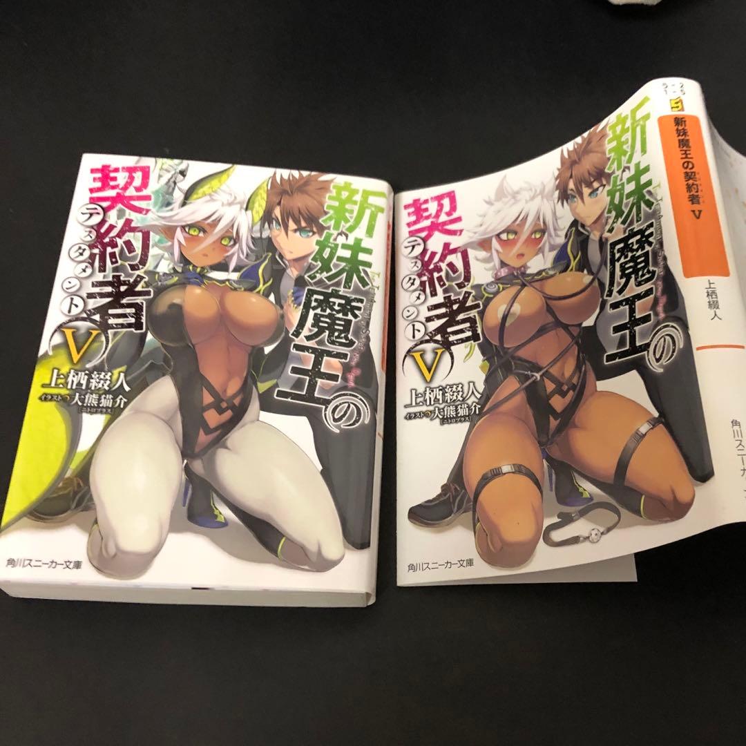 Literature Novels 5