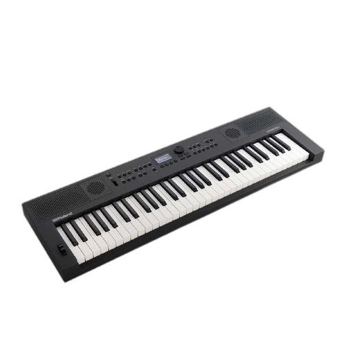 Roland Keyboard Electronic Piano Gokeys5 61 Gokeys5-Gt