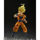 Dragon Ball S.H.Figuarts 2