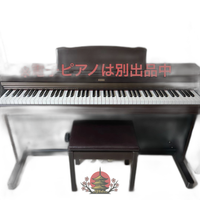 Korg Keyboard Electronic Piano