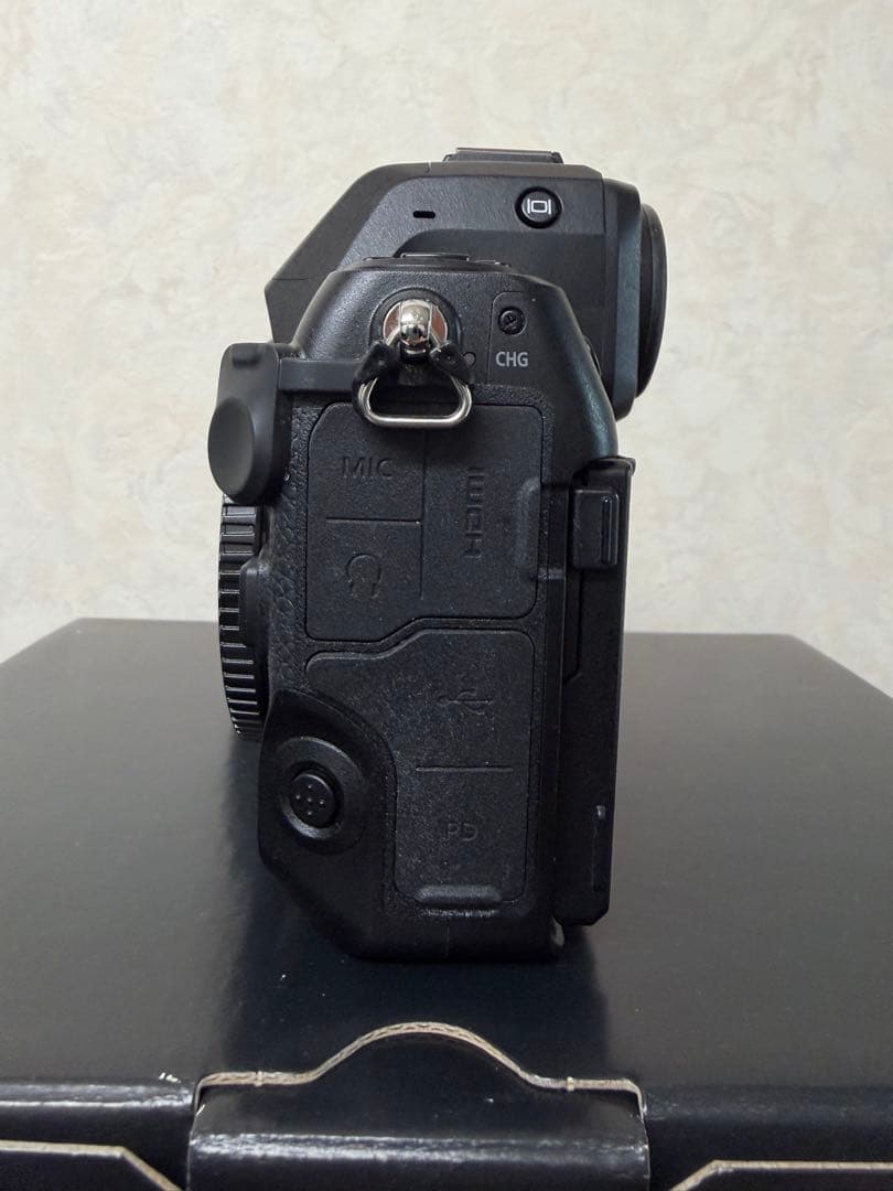 Nikon Mirrorless Interchangeable Lips Z8