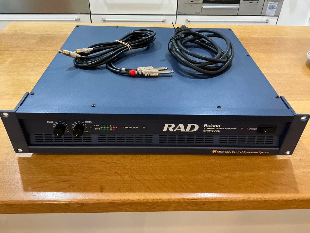 Power Amplifiers Roland Sra-600E Rca
