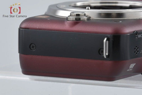 Panasonic Mirrorless Interchangeable Lips Lumix Dmc-Gf3