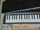 Keyboard Electronic Piano 61 Korg Micropiano