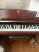 Yamaha Others