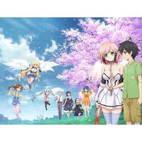 Anime Dvd Final