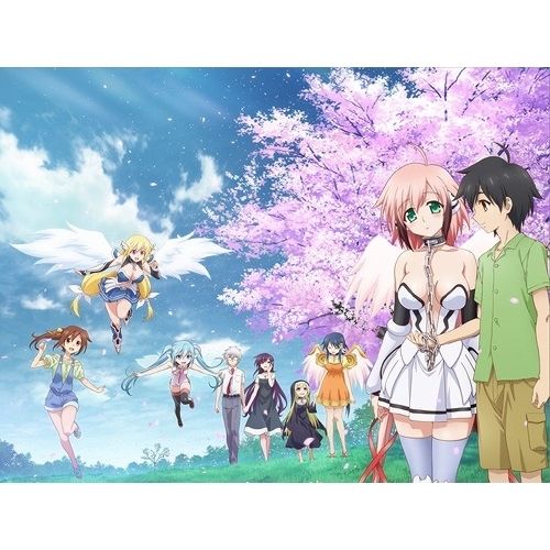 Anime Dvd Final