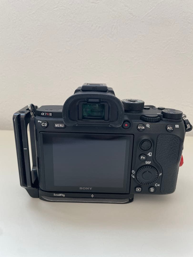 Sony Mirrorless Interchangeable Lips A7Riii 3