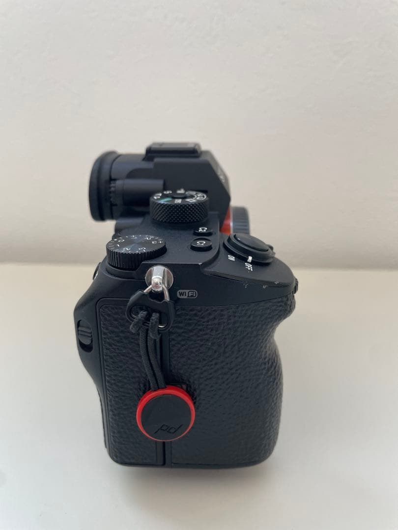 Sony Mirrorless Interchangeable Lips A7Riii 3