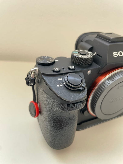 Sony Mirrorless Interchangeable Lips A7Riii 3