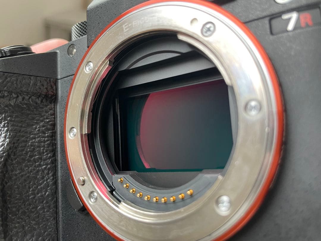 Sony Mirrorless Interchangeable Lens Cameras A7Riii 3