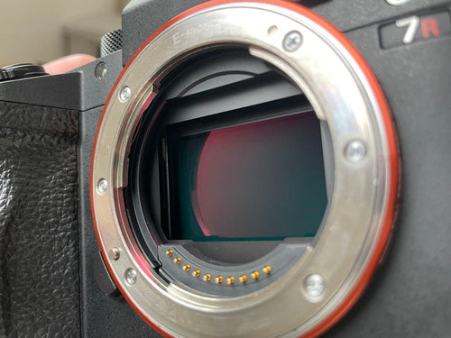 Sony Mirrorless Interchangeable Lens Cameras A7Riii 3