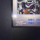 Yu-Gi-Oh! Ocg Duel Monsters (Japanese)
