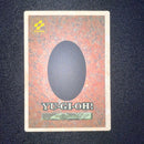 Yu-Gi-Oh! Ocg Duel Monsters (Japanese)