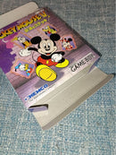 Games Mickey Mouse V