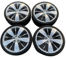 Dolce 16 Inches Dc2 18 4
