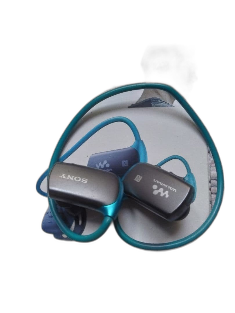 Sony Digital Audio Player Nw-Ws615