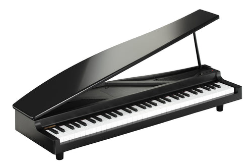 Others Korg Micropiano 61 Wgteh8F