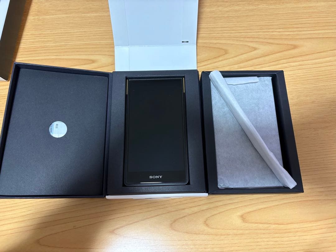 Sony Digital Audio Player Nw-Zx707 Walkman