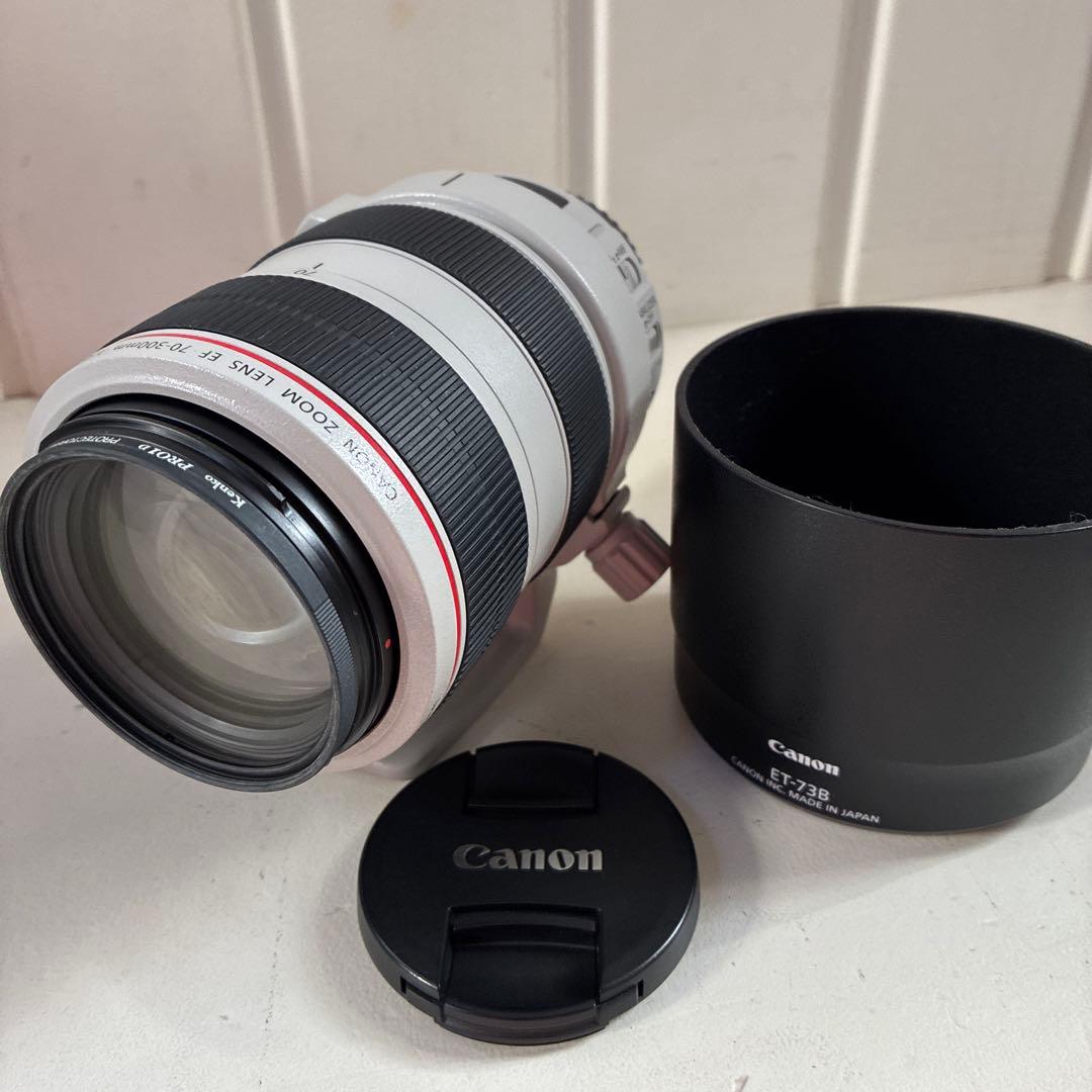Canon Lens (Zoom) Ef70-300Mm F/4-5.6 L Is Usm