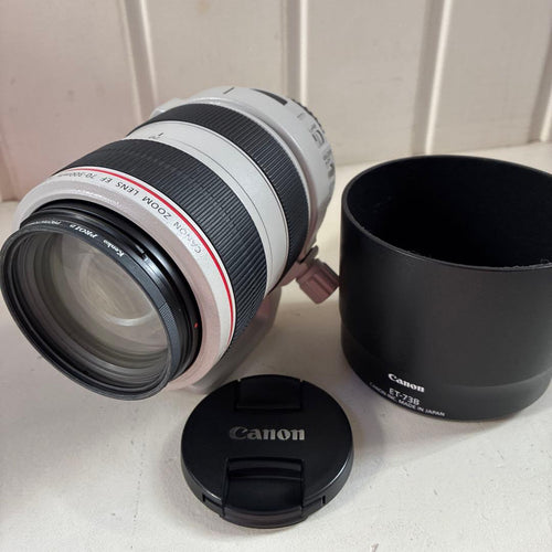 Canon Lens (Zoom) Ef70-300Mm F/4-5.6 L Is Usm