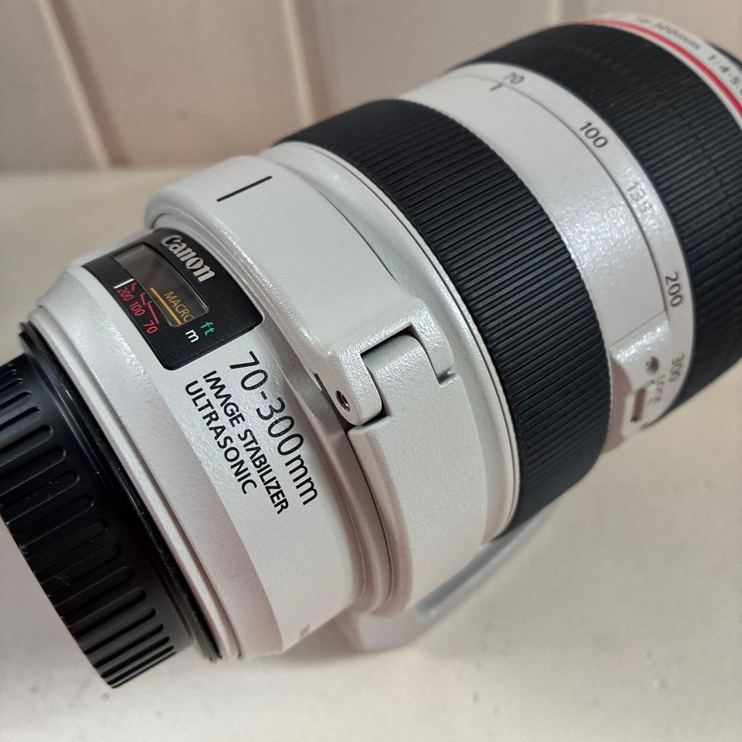 Canon Lens (Zoom) Ef70-300Mm F/4-5.6 L Is Usm