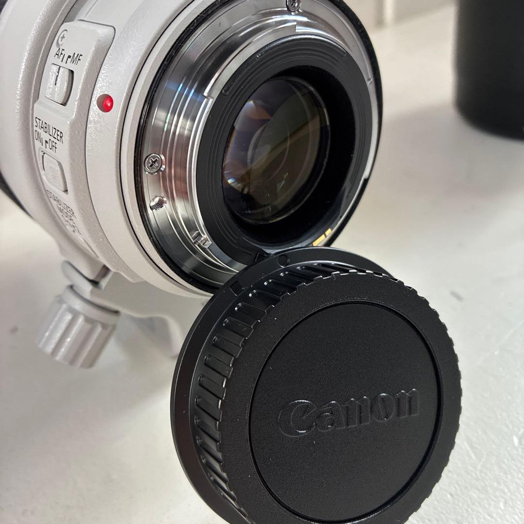 Canon Lens (Zoom) Ef70-300Mm F/4-5.6 L Is Usm