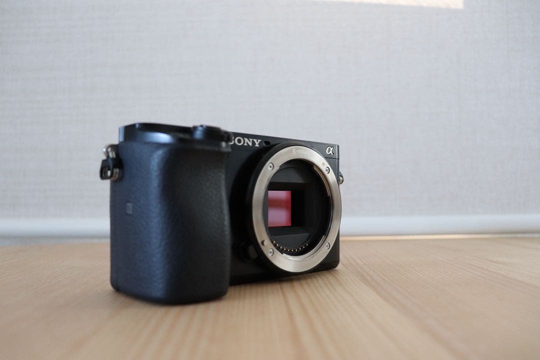 Sony Mirrorless Interchangeable Lips 6100