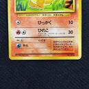 Pokemon Card Game