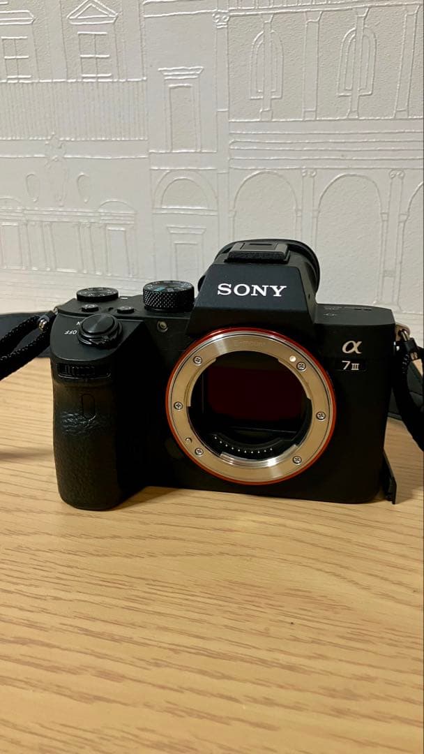 Digital Cameras Sony 7 Iii