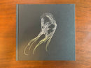 Art, Design Music Seb Mckinnon