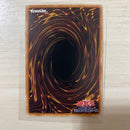 Yu -Gi -Oh! Ocg Duel Monsters