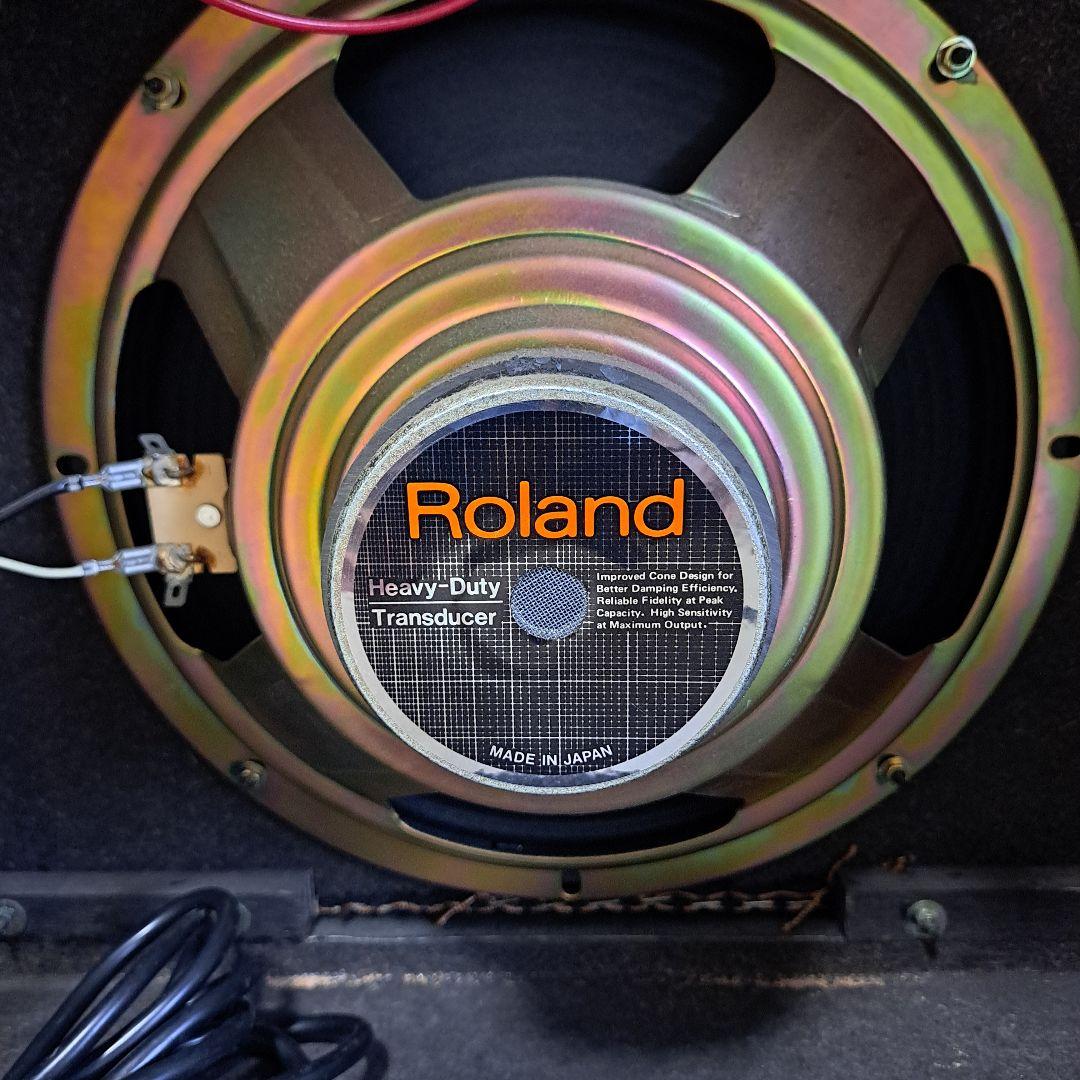 Roland Guitar Amplifiers Bolt-30