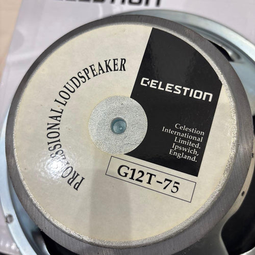 Guitar Cabinets Celestion G12T-75 16