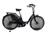 City Type Pas Natura X563-1501 6.2Ah 26