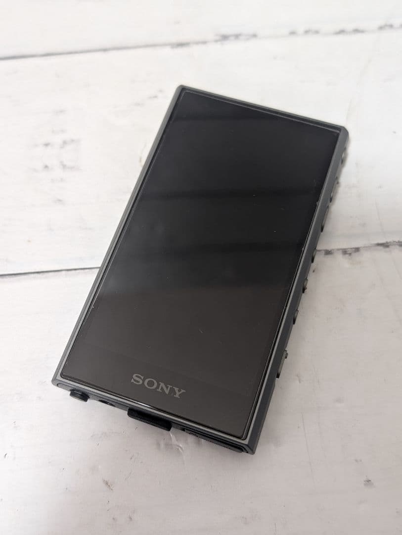 Sony Other 64Gb Nw-A307