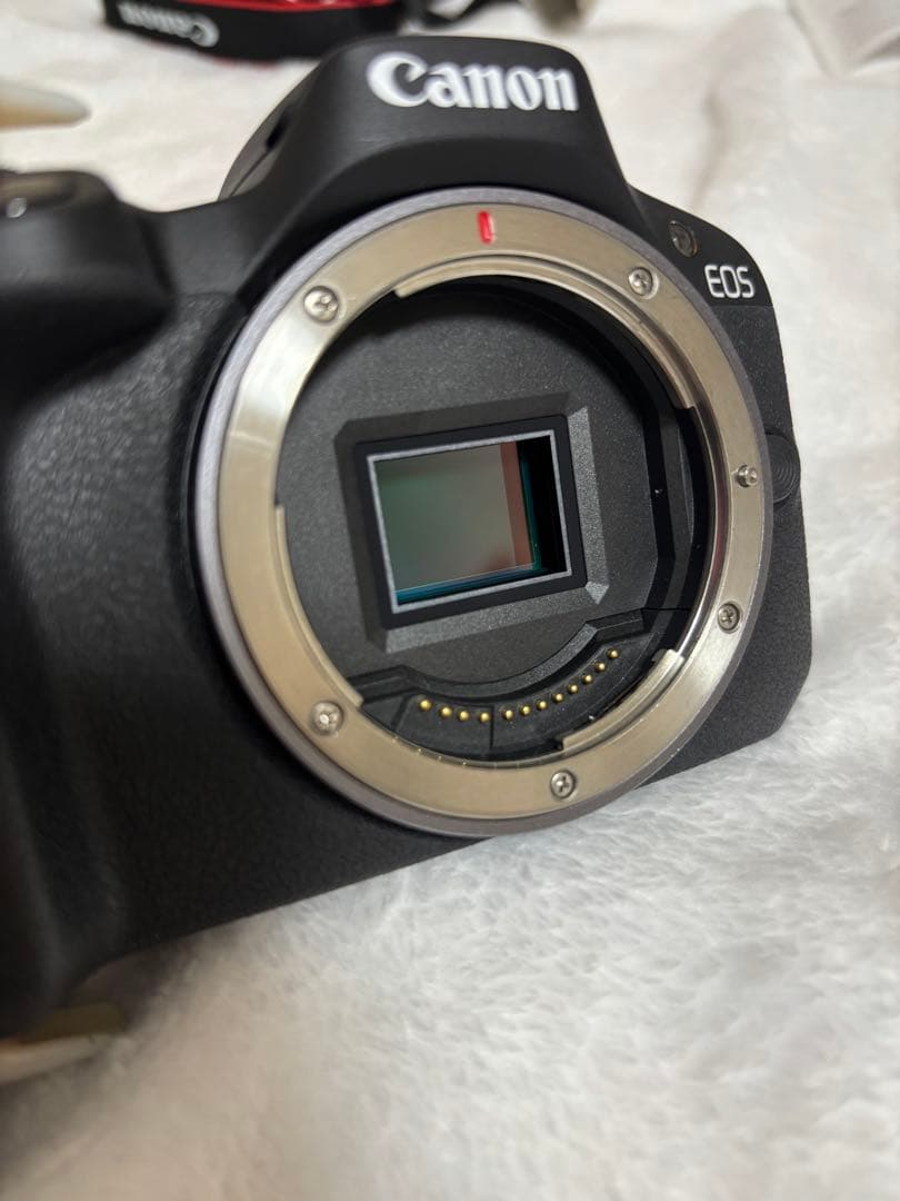 Mirrorless Interchangeable Lips Canon Eos R50 Sd