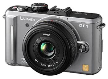 Digital Slr (20Mm/F1.7 Dmc-Gf1C-S