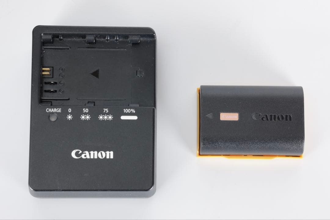 Mirrorless Interchangeable Lips Canon Eos R6