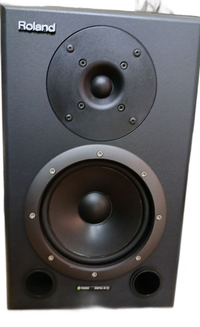 Roland Studio Monitor Speaker Bi-Amp Ds-90A 1