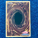 Yu -Gi -Oh! Ocg Duel Monsters 1