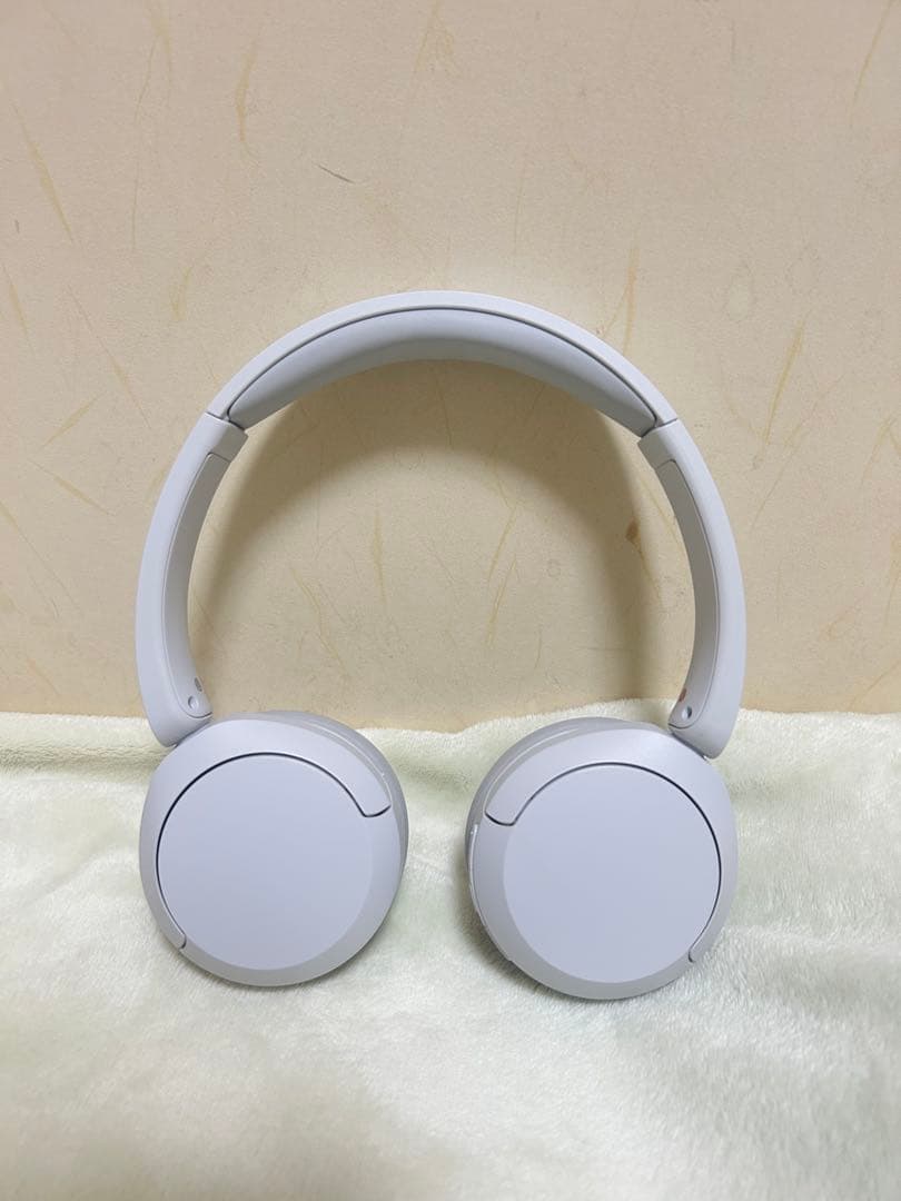 Sony Wireless Headphones Wh-Ch520