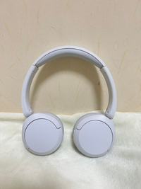 Sony Wireless Headphones Wh-Ch520