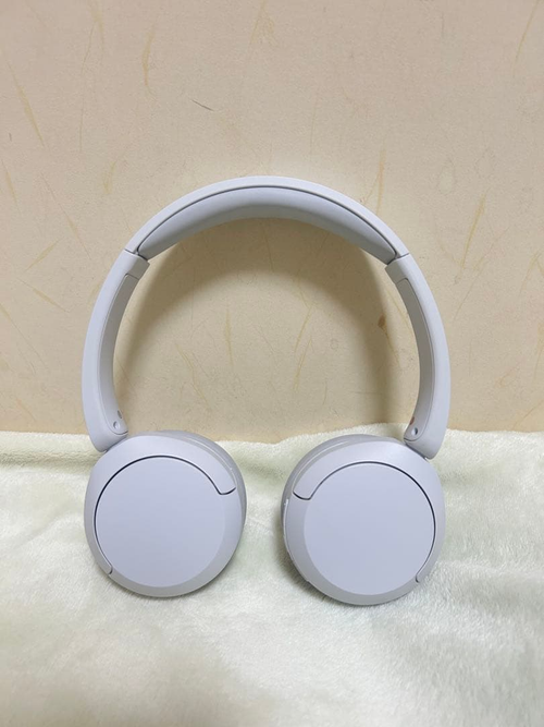 Sony Wireless Headphones Wh-Ch520